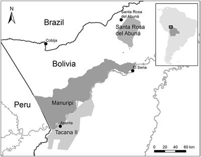 Frontiers | Jaguar Persecution Without “Cowflict”: Insights From